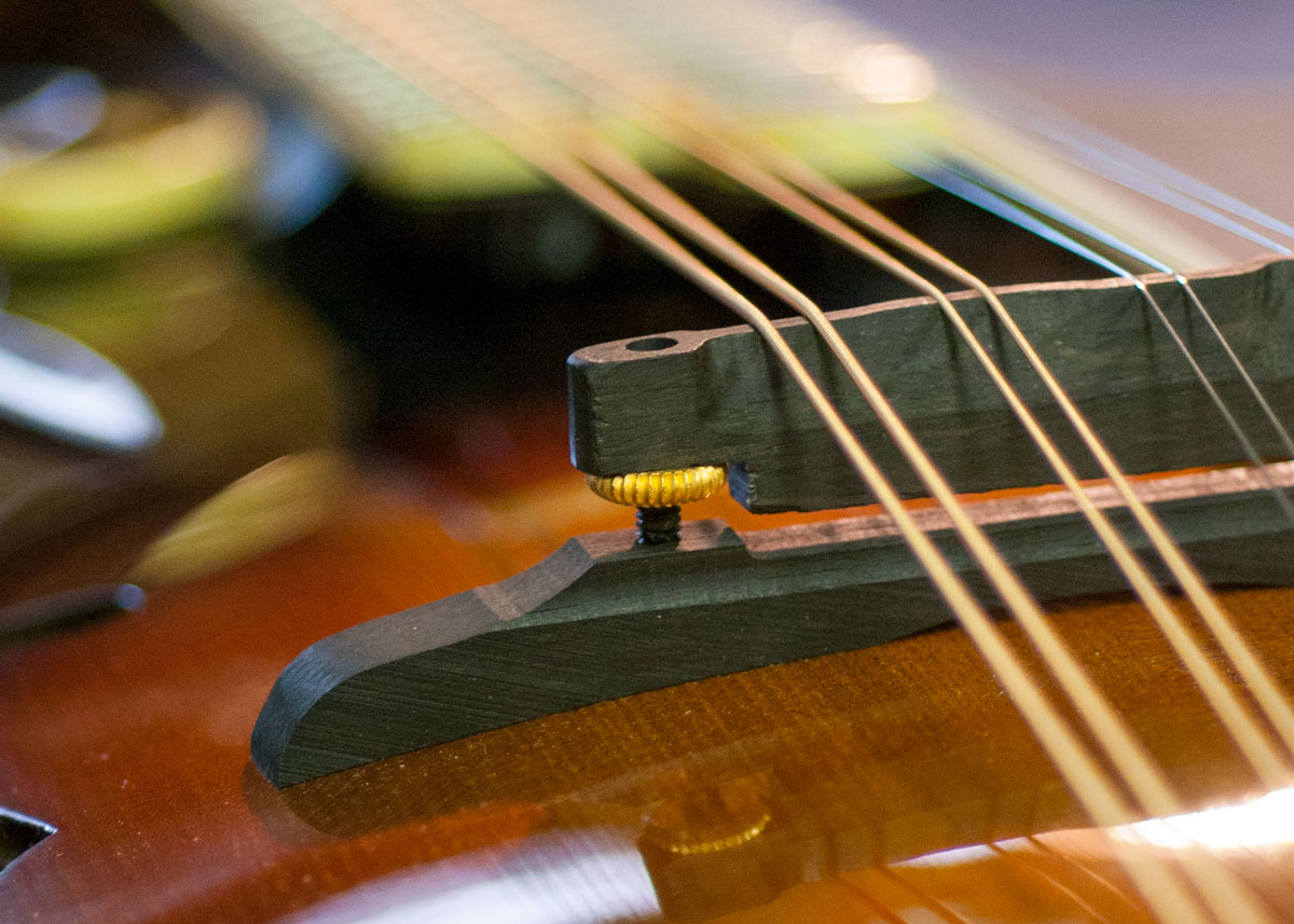 Closeup of mandolin strings