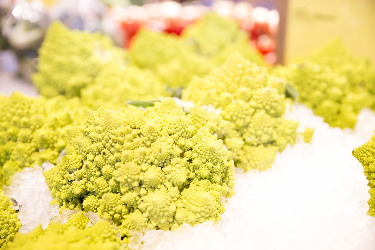 Fresh vegetables on ice