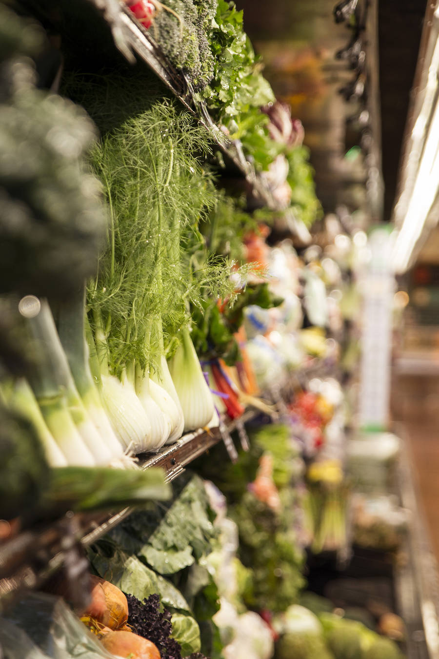 Fresh vegetables neatly organized at a grocery store
